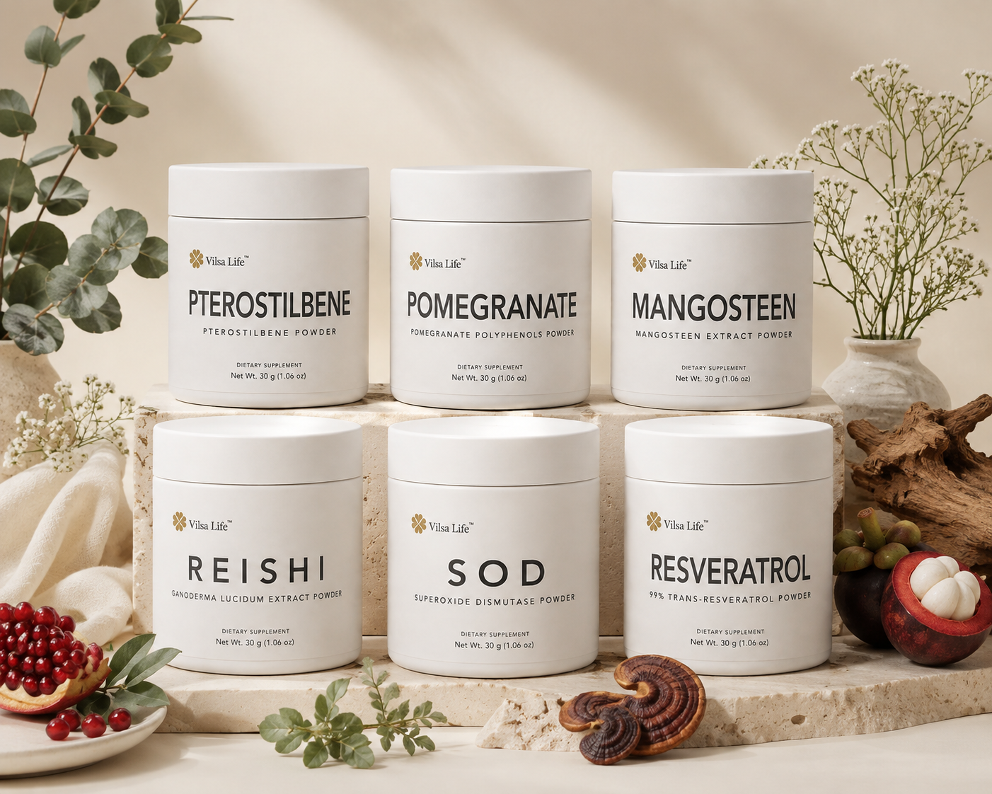 🌱 Botanical Extract Powder