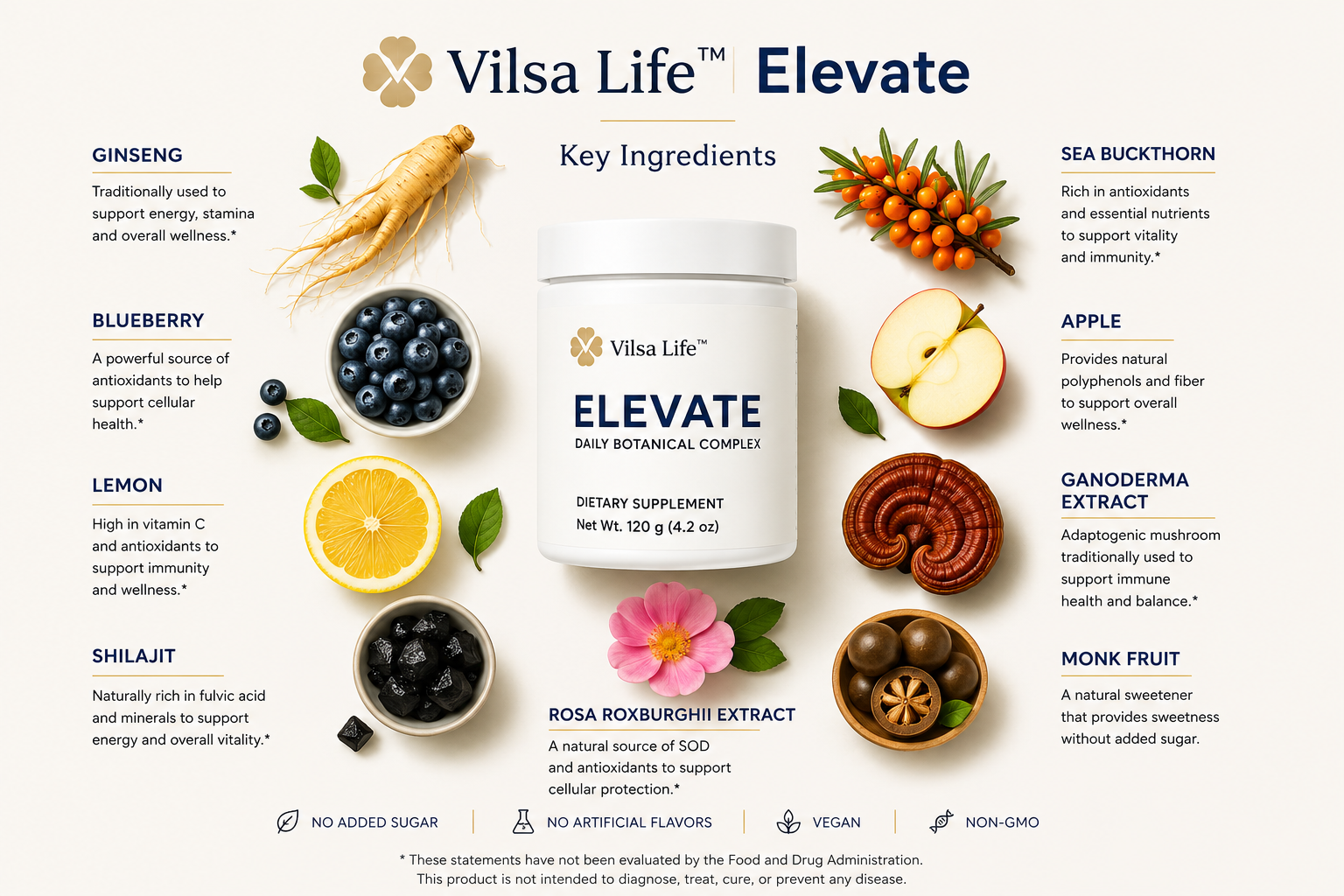 Vilsa Life™ ElevateDaily Vitality & Botanical Wellness
